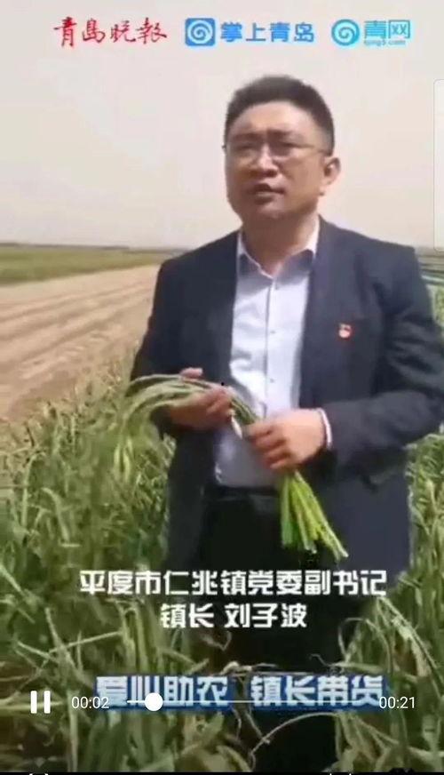 镇长 在线观看,在线观看揭秘权力与民生